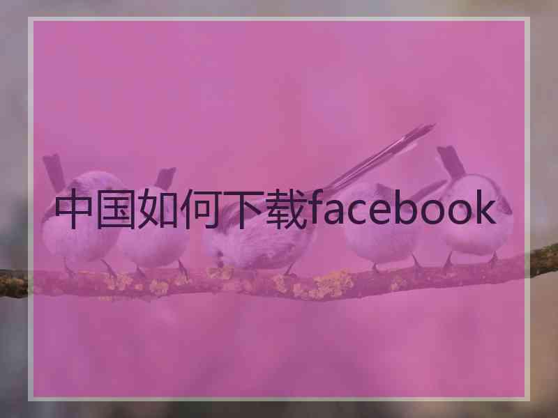 中国如何下载facebook