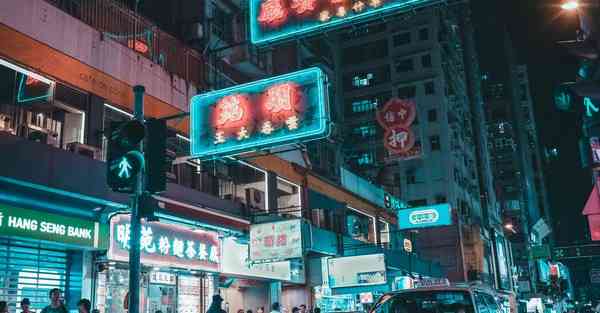 蝙蝠加速器