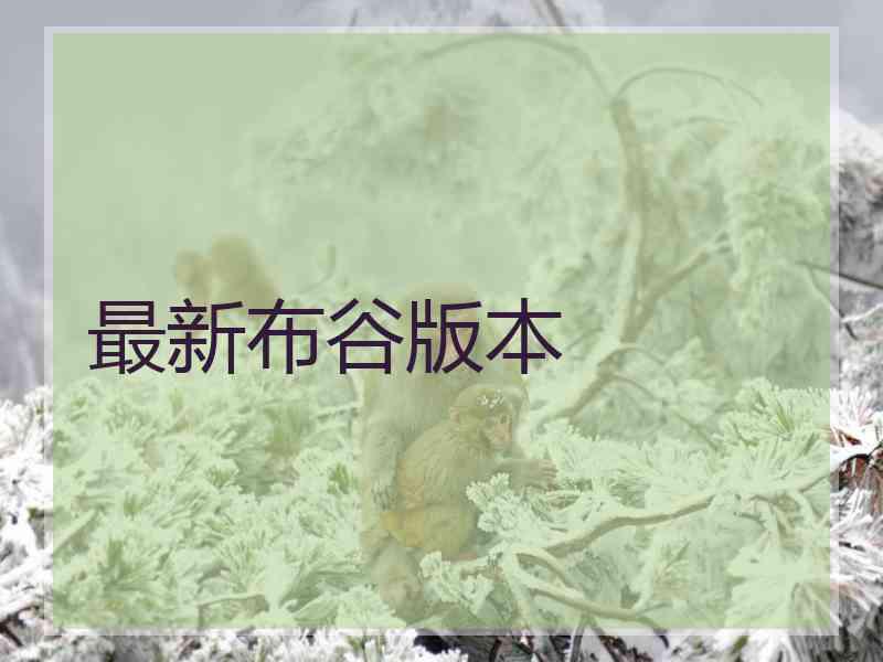 最新布谷版本
