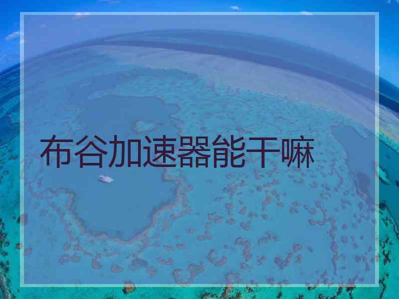 布谷加速器能干嘛