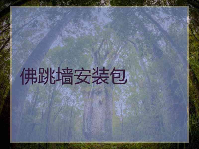 佛跳墙安装包