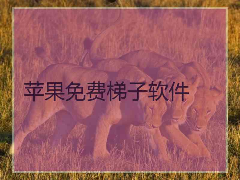 苹果免费梯子软件