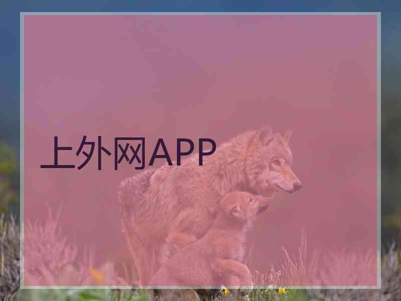 上外网APP