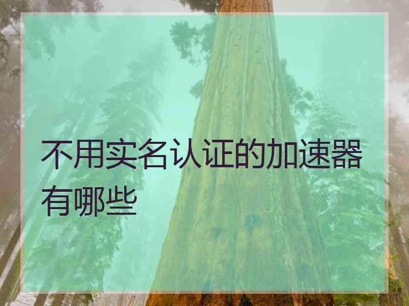 不用实名认证的加速器有哪些