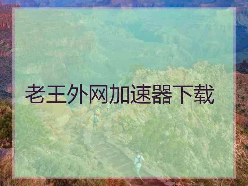 老王外网加速器下载
