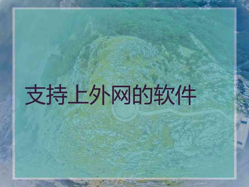 支持上外网的软件