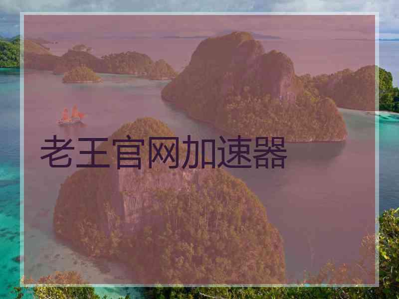老王官网加速器