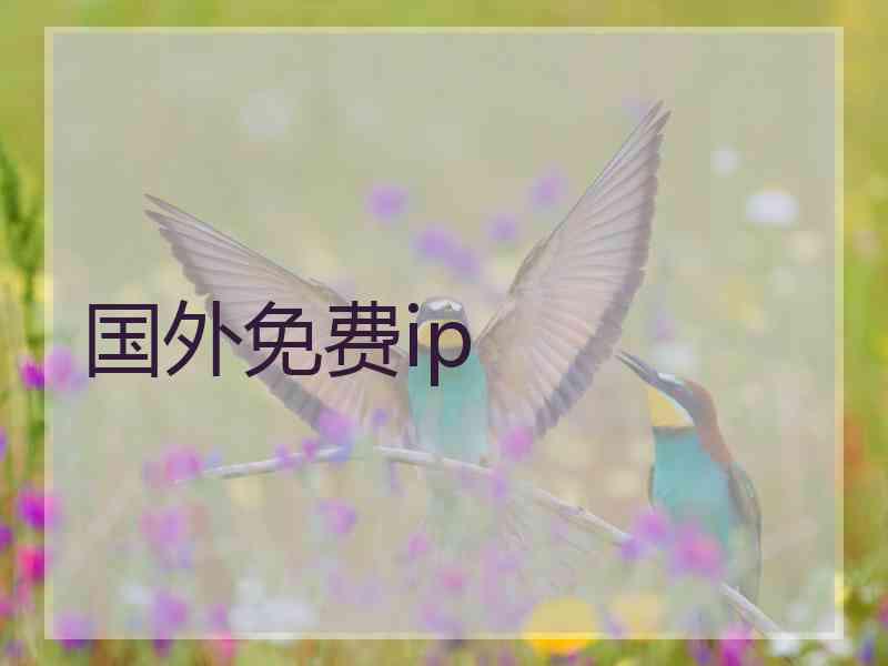 国外免费ip
