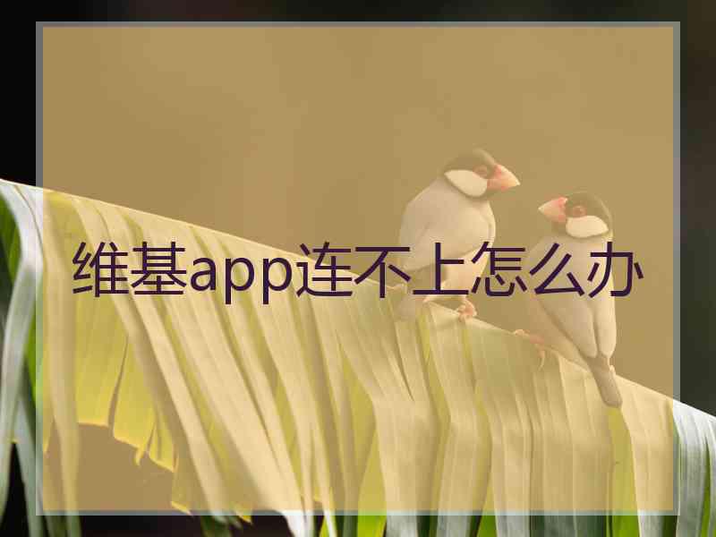 维基app连不上怎么办