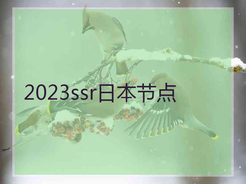 2023ssr日本节点