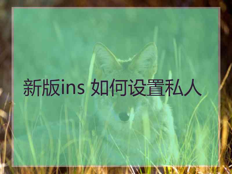 新版ins 如何设置私人