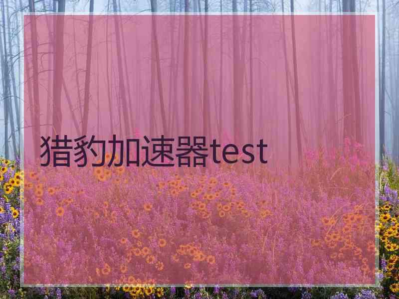 猎豹加速器test