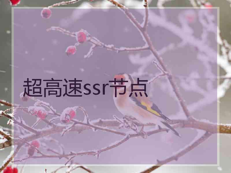 超高速ssr节点