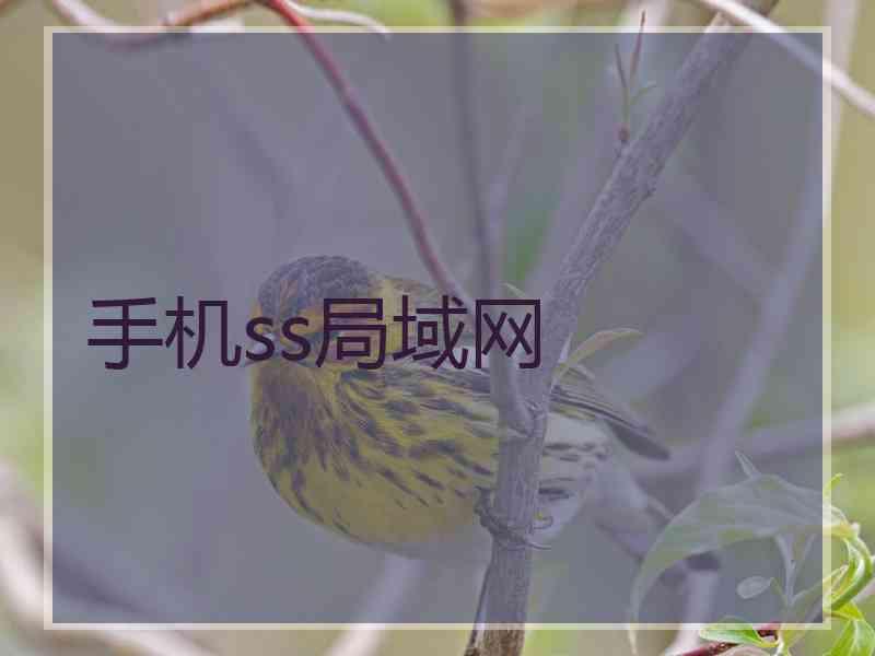 手机ss局域网