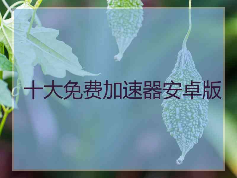 十大免费加速器安卓版