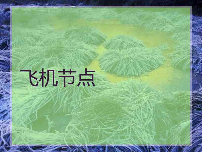 飞机节点