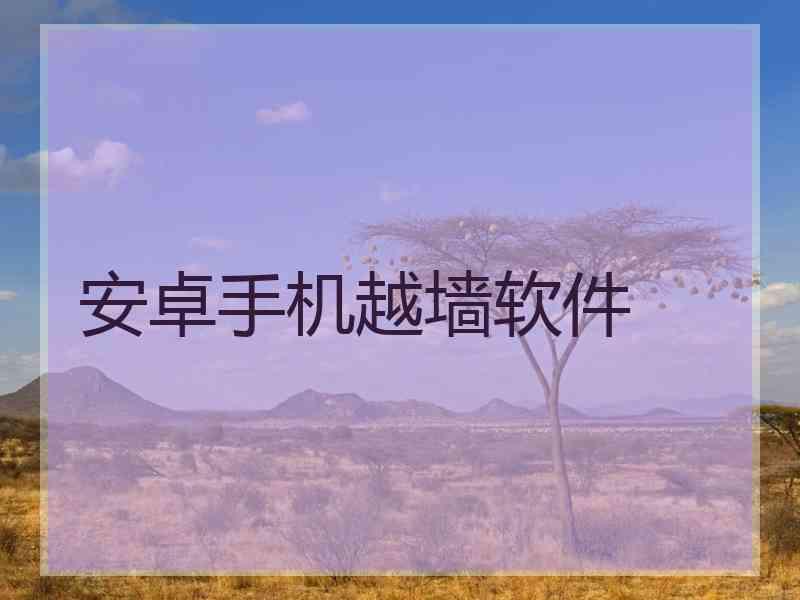 安卓手机越墙软件
