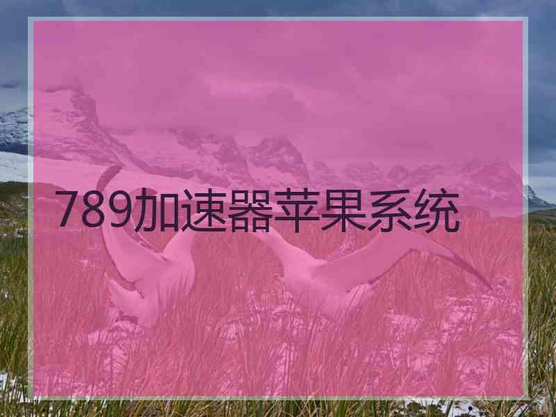 789加速器苹果系统