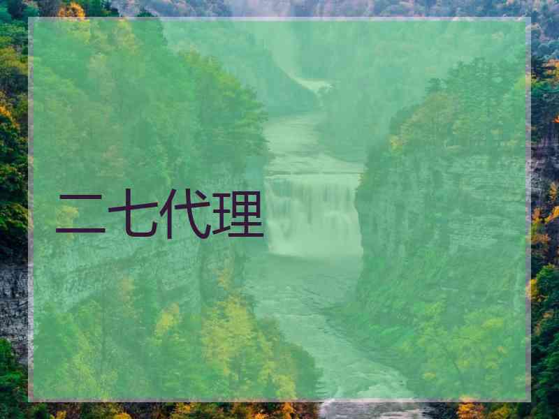 二七代理