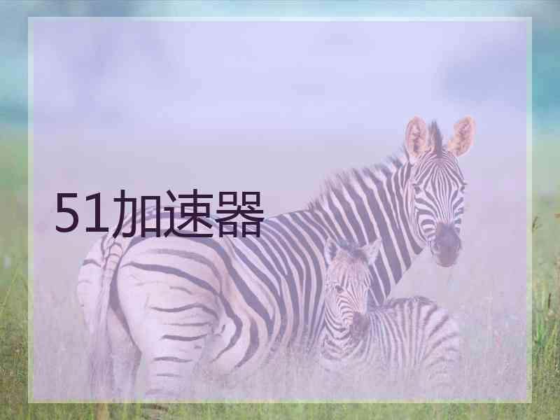 51加速器