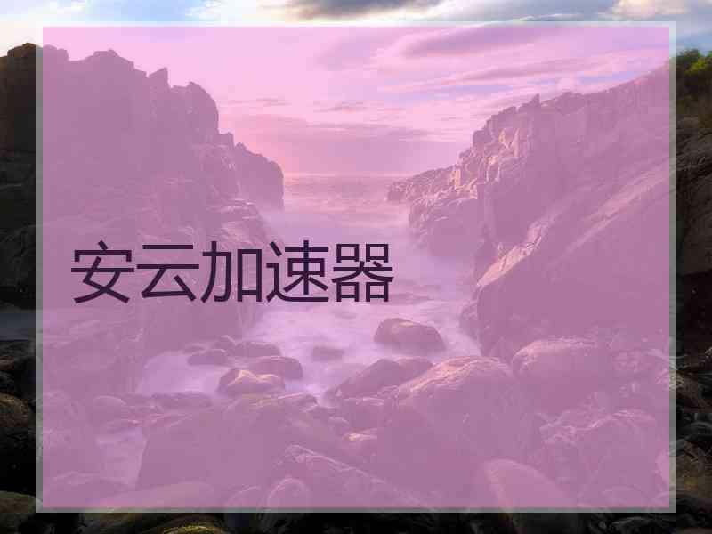 安云加速器