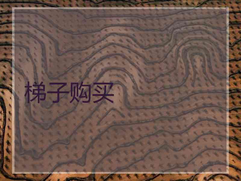 梯子购买