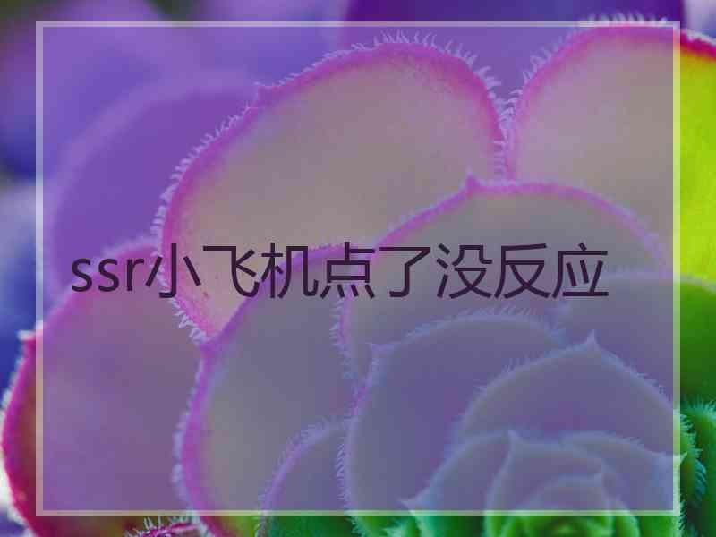 ssr小飞机点了没反应