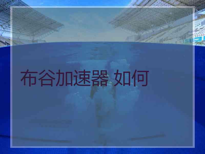 布谷加速器 如何