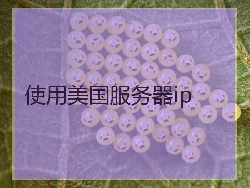 使用美国服务器ip