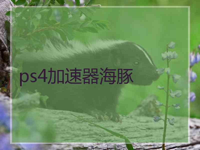 ps4加速器海豚