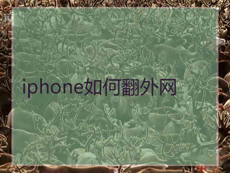 iphone如何翻外网