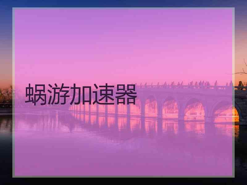 蜗游加速器