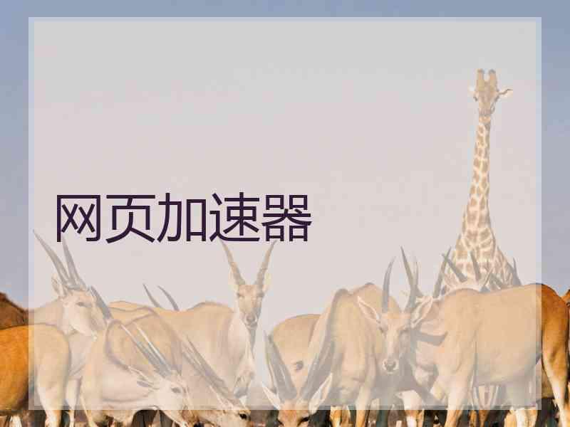 网页加速器