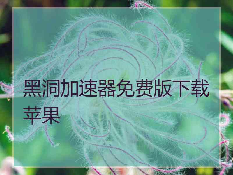 黑洞加速器免费版下载苹果