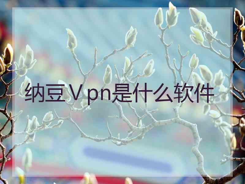 纳豆Ⅴpn是什么软件