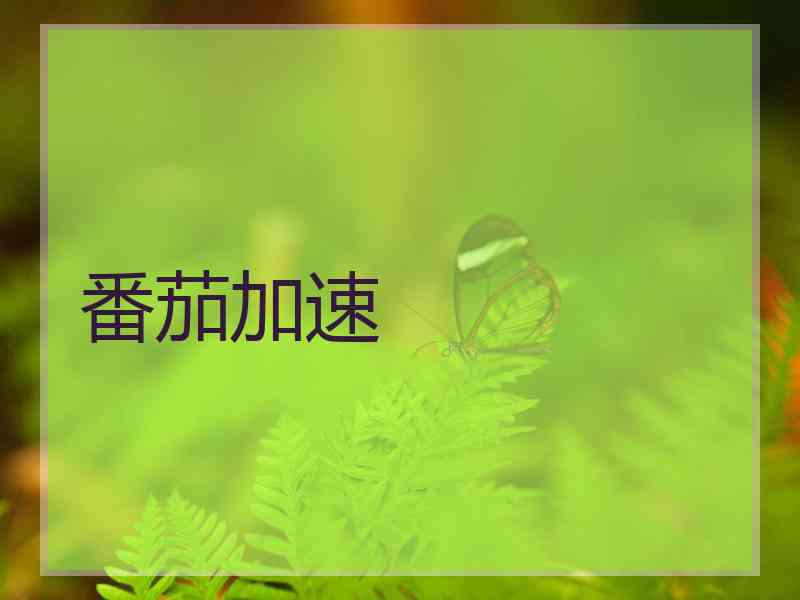 番茄加速