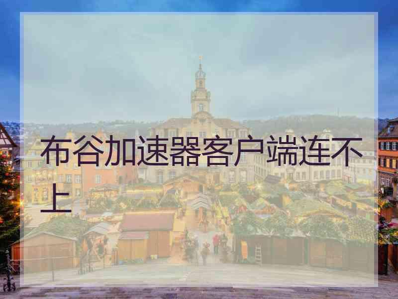 布谷加速器客户端连不上