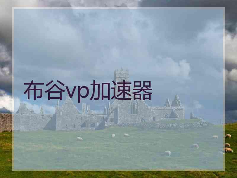 布谷vp加速器