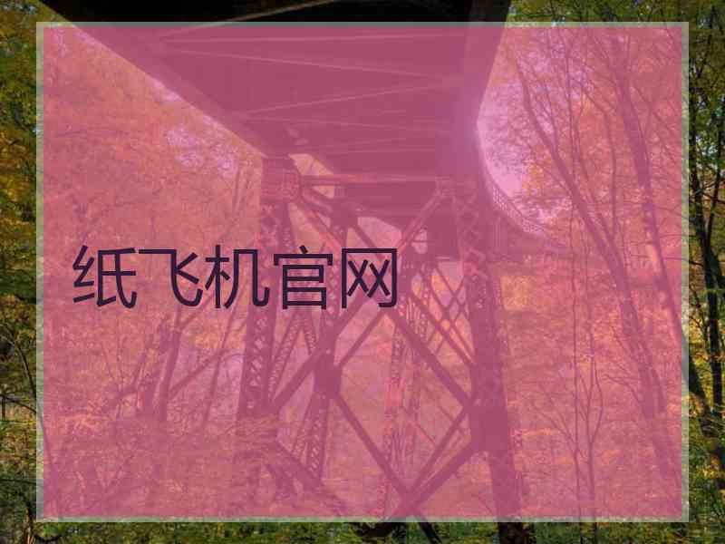 纸飞机官网