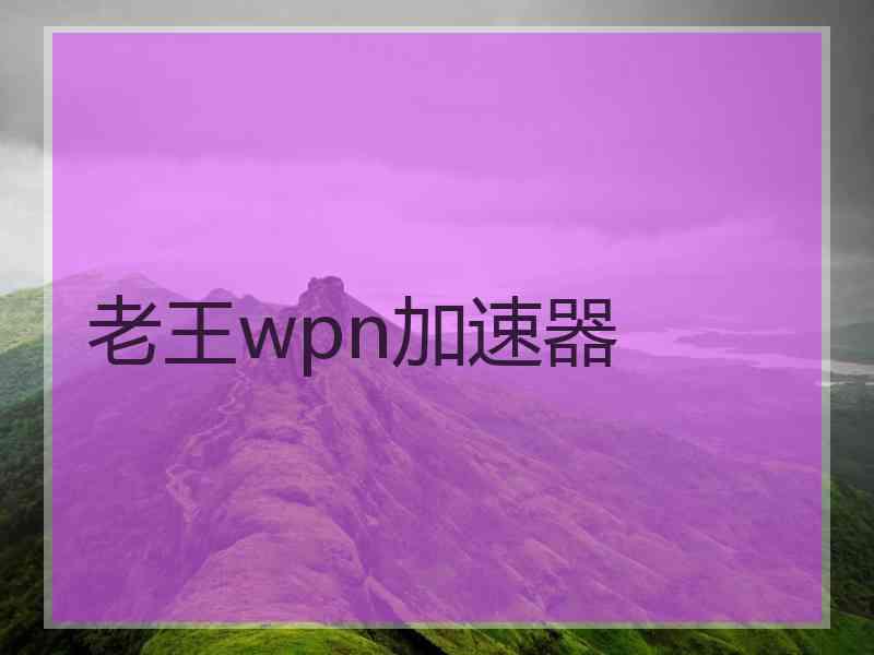 老王wpn加速器