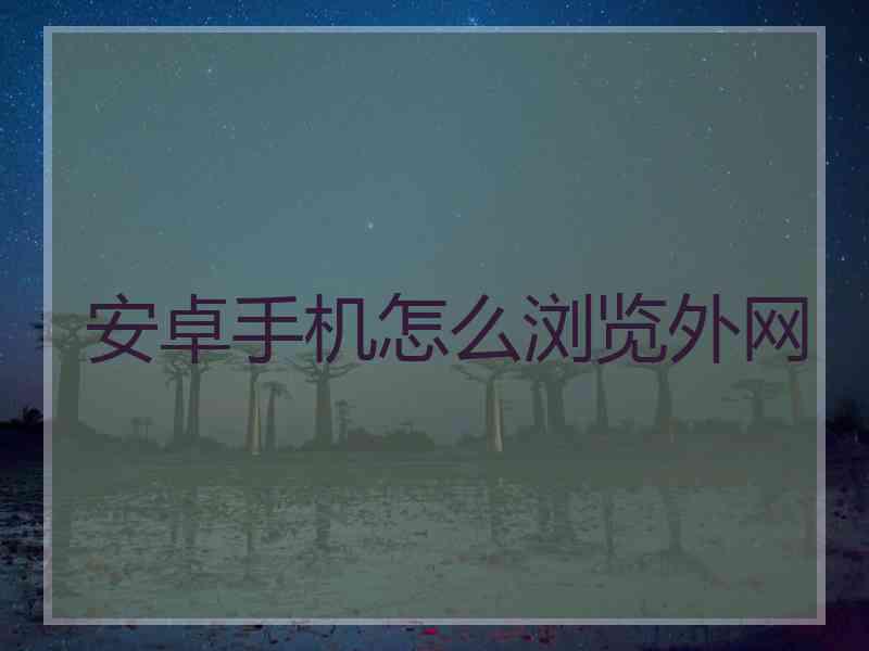 安卓手机怎么浏览外网