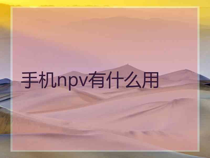 手机npv有什么用