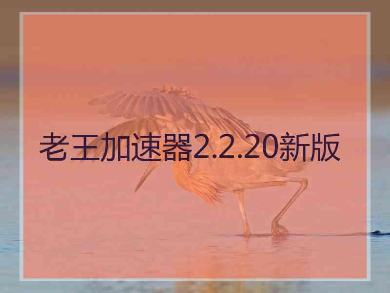 老王加速器2.2.20新版