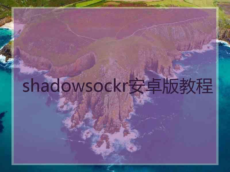 shadowsockr安卓版教程