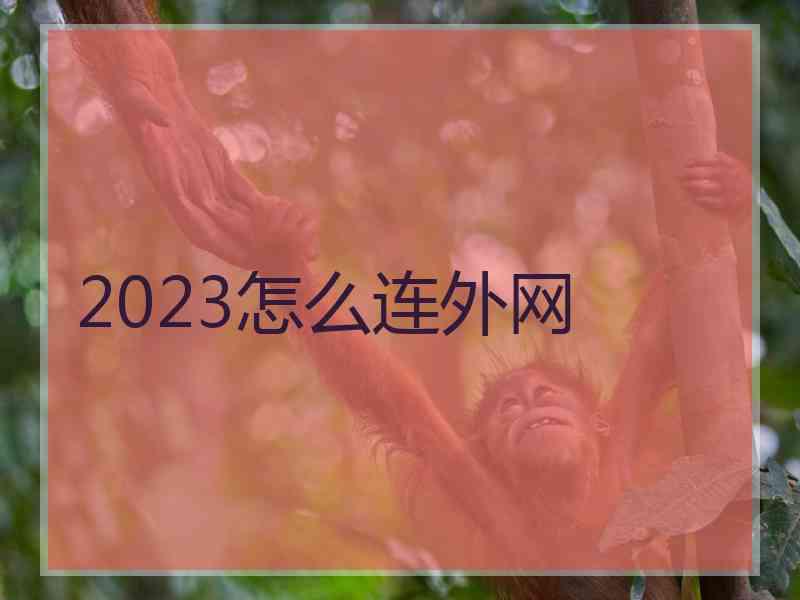 2023怎么连外网