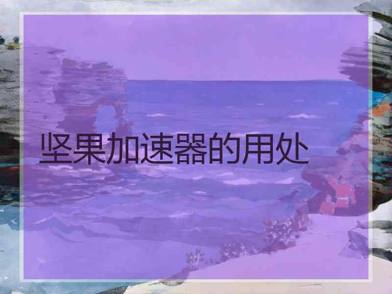 坚果加速器的用处