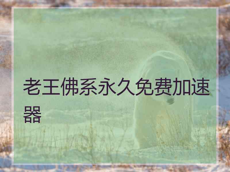 老王佛系永久免费加速器