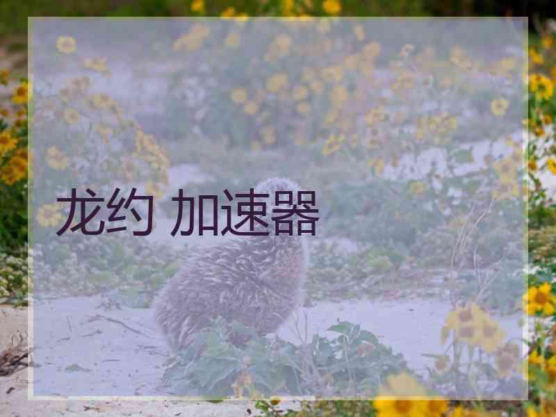 龙约 加速器