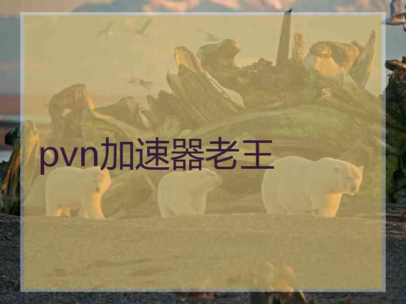 pvn加速器老王