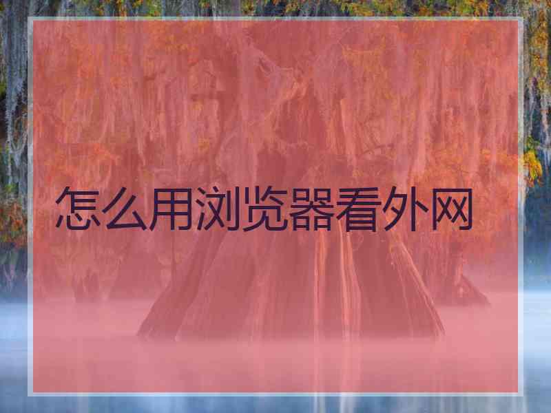 怎么用浏览器看外网
